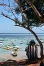 Seaweed Farmer at Nusa Penida, Bali Royalty Free Stock Photo