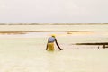 Seaweed farmers in the water off the white beaches of the I