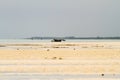 Seaweed farmers in the water off the white beaches of the I