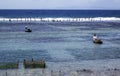 Seaweed farming ,Nusa Penida Bali Royalty Free Stock Photo