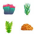 Seaweed icons set cartoon vector. Various colorful algae and coral