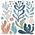 Seaweed icons set. Different cute colored algae. Sea plants icon isolated on white Royalty Free Stock Photo