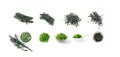 Seaweed Isolated, Dry Wakame, Edible Green Algae Set Royalty Free Stock Photo