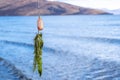 Seaweed on a in-line spinnerbait with unfocused lake and mountains background. Royalty Free Stock Photo