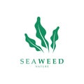 seaweed logo design with vector illustration template