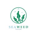 seaweed logo design with vector illustration template