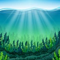Seaweed on the ocean floor Royalty Free Stock Photo