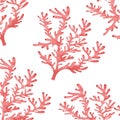 Seaweed pattern isolated icon