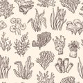 Seaweed pattern. Underwater life, seaweeds coral nautical background. Sketch ocean plants, vintage marine kelp exact