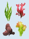 Seaweed. Realistic underwater plants spirulina decent vector seaweed collection different colors