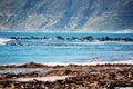 Seaweed rocks mountains in Cape Town South Africa Royalty Free Stock Photo