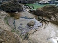 Seaweed rocks Royalty Free Stock Photo