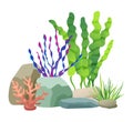 Seaweed Rocks and Plants Set Vector Illustration Royalty Free Stock Photo