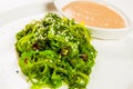 Seaweed salad with the dressing on the plate Royalty Free Stock Photo