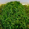 Seaweed Salad, Japanese Sushi