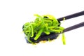 Seaweed Salad Sushi with Chopsticks. Royalty Free Stock Photo