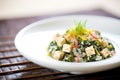 seaweed salad with tofu cubes, focus on the texture of the tofu Royalty Free Stock Photo