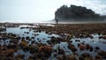 Seaweed and Sea urchins farmers in Southern Coast of Java