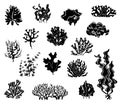 Seaweed silhouettes. Black icons of coral elements and underwater wildlife marine vector set