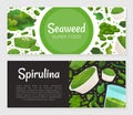 Seaweed Spirulina Banner Design with Green Superfood Vector Template