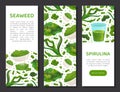 Seaweed Spirulina Banner Design with Green Superfood Vector Template