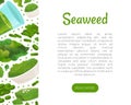 Seaweed Spirulina Banner Design with Green Superfood Vector Template