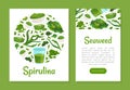 Seaweed Spirulina Banner Design with Green Superfood Vector Template