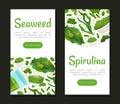 Seaweed Spirulina Banner Design with Green Superfood Vector Template