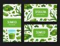 Seaweed Spirulina Banner Design with Green Superfood Vector Template