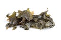 Seaweed Sugar Kelp