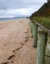 Seaweed Trail on Beach