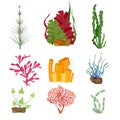 Seaweed. Underwater ocean or sea plants marine botanical wildlife cartoon set