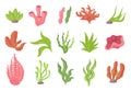 Seaweed underwater plants from sea bottom or aquarium set, kelp or marine algae, corals