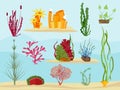 Seaweed underwater. Wildlife marine botanical plants in ocean or sea vector decoration collection