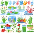 Seaweed water plants, algae vector illustration set, cartoon flat underwater nature collection of sea ocean aquarium