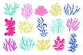 Seaweeds and algae. Cartoon colorful underwater plants, colorful exotic marine botany flora, coral and water plants