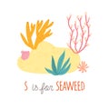 Seaweeds. Aquarium plants, underwater planting. S is for Seaweed. Cartoon vector clipart eps 10 hand drawn illustration