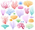 Seaweeds and corals on white.