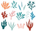 Seaweeds set. Collection of seaweeds, planting, marine algae and ocean corals silhouettes. Underwater plants for aquarium decor.