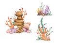 Seaweeds. Underwater ocean plants, sea coral elements. Watercolor illustration