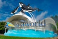 Seaworld sign in International Drive area. 4