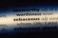 sebaceous