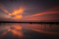 Sebangau River at Central Kalimantan Indonesia