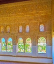 Sebka decorated wall of Oratory, Nasrid Palace, Alhambra, Granada, Spain