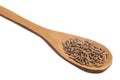 Rye. Grains over wooden spoon, isolated white background.