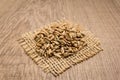 Rye cereal grain. Grains on square cutout of jute. Wooden table.