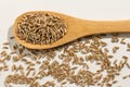 Rye cereal grain. Healthy grains on a wooden spoon. White background.