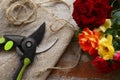 Secateur, beautiful roses and rope on table, flat lay
