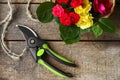 Secateur, beautiful roses and rope on wooden table, flat lay