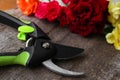 Secateur and beautiful roses on wooden table, closeup